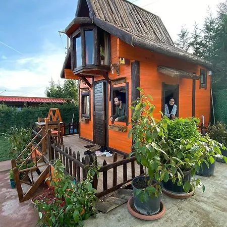 The Hobbit House 1 Sapanca